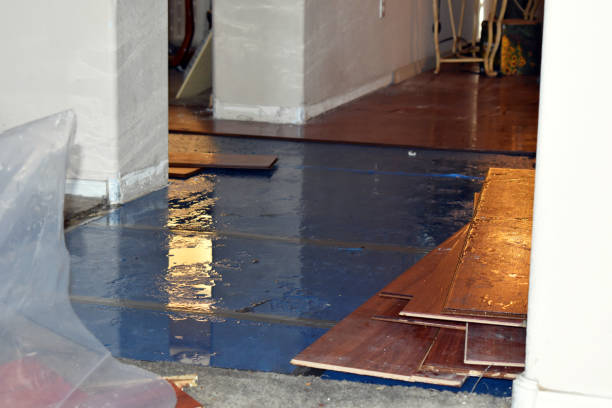 Professional Basement Flood Cleanup technician working in Wilbur, WA